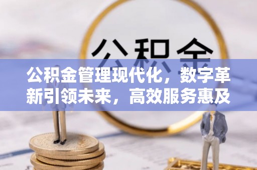 龙岗公积金管理现代化，数字革新引领未来，高效服务惠及民生