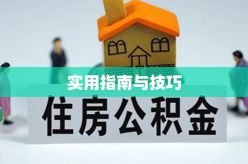 龙岗实用指南与技巧