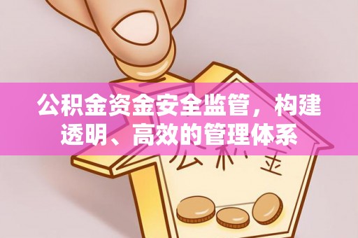 龙岗公积金资金安全监管，构建透明、高效的管理体系