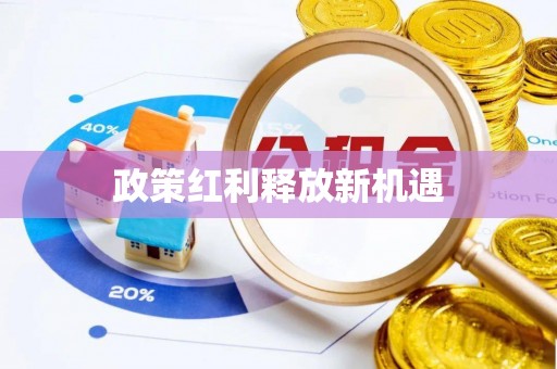龙岗政策红利释放新机遇